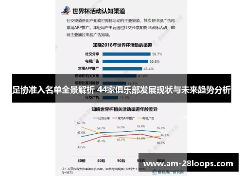 足协准入名单全景解析 44家俱乐部发展现状与未来趋势分析 足协准入名单全景解析 44家俱乐部发展现状与未来趋势分析