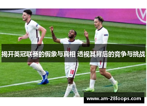 揭开英冠联赛的假象与真相 透视其背后的竞争与挑战 揭开英冠联赛的假象与真相 透视其背后的竞争与挑战