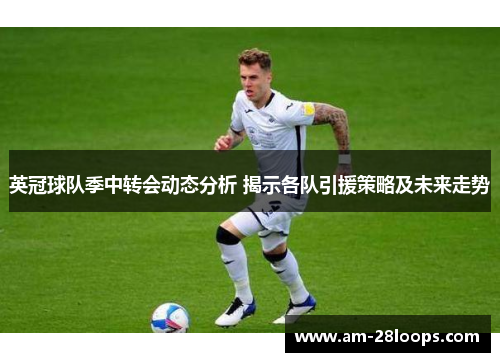 英冠球队季中转会动态分析 揭示各队引援策略及未来走势 英冠球队季中转会动态分析 揭示各队引援策略及未来走势
