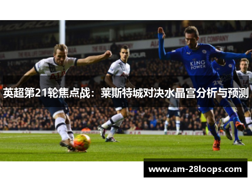 英超第21轮焦点战:莱斯特城对决水晶宫分析与预测 英超第21轮焦点战:莱斯特城对决水晶宫分析与预测