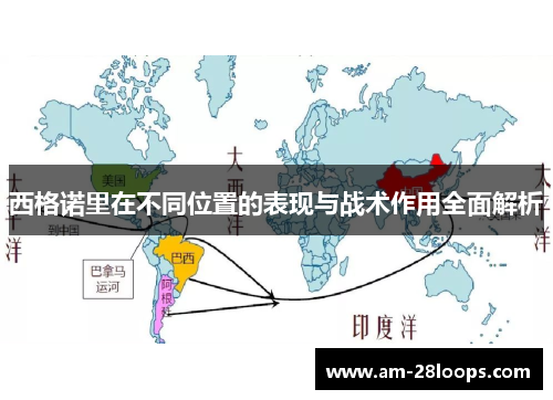 西格诺里在不同位置的表现与战术作用全面解析