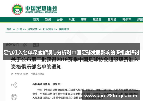 足协准入名单深度解读与分析对中国足球发展影响的多维度探讨 足协准入名单深度解读与分析对中国足球发展影响的多维度探讨