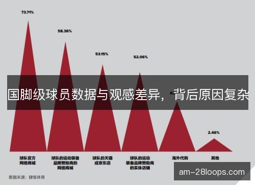 国脚级球员数据与观感差异，背后原因复杂